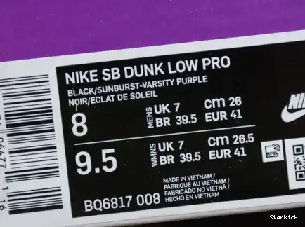 Dunk Low Nike SB Terra” BQ6817-008 “ACG 0603